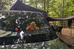 PXL_20230630_131431570