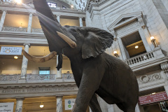 PXL_20230630_193933759