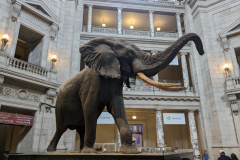 PXL_20230630_193952310.MP_