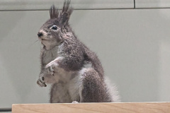 PXL_20230630_194219203