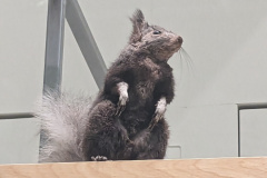 PXL_20230630_194223570