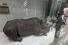 PXL_20230630_194241162