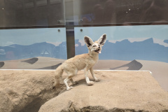 PXL_20230630_194410415