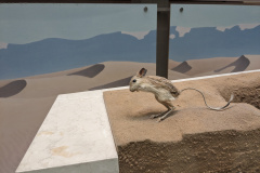 PXL_20230630_194418636