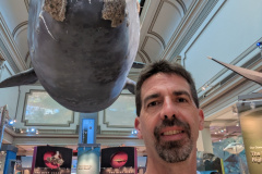 PXL_20230630_200000702