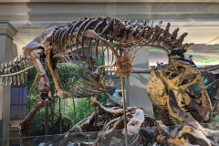 PXL_20230630_200509953.MP_