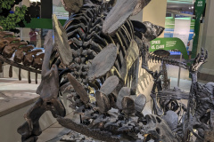 PXL_20230630_201356289.MP_