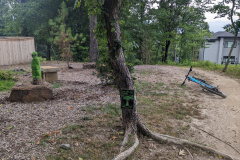 PXL_20230709_142010653.MP_