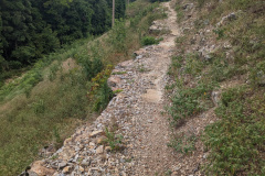 PXL_20230709_150613336