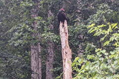 PXL_20230709_164925774