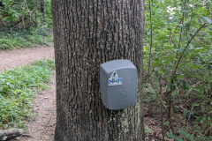 PXL_20230709_203344681