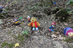 PXL_20230709_205955433