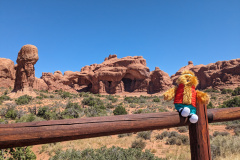 PXL_20230721_172157492