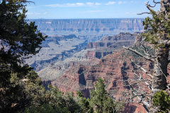 PXL_20230718_171256169