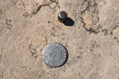 PXL_20230718_172949074