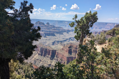 PXL_20230718_174510141