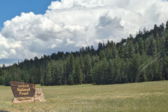 PXL_20230718_185621515