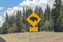 PXL_20230718_185649386.MP_