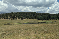 PXL_20230718_191253104.MP_