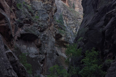 PXL_20230719_140710285