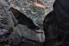 PXL_20230719_141429620