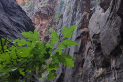 PXL_20230719_141909946