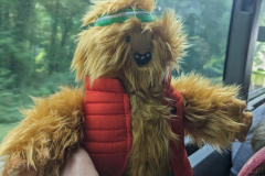 PXL_20230629_134253579.MP_