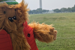 PXL_20230629_154719608