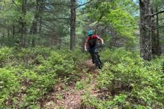 signal-2023-06-19-124743_004