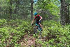 signal-2023-06-19-124743_005