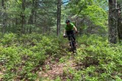 signal-2023-06-19-124743_008