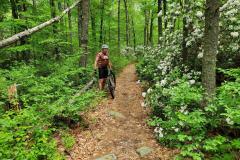 signal-2023-06-19-134709_003